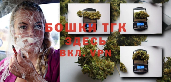 гашик Богданович
