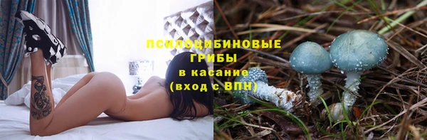 гашик Богданович